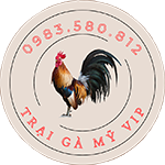 Trại Gà Mỹ VIP
